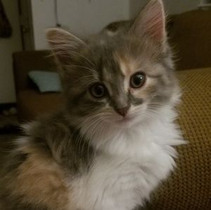 Meet your Posher, Katy